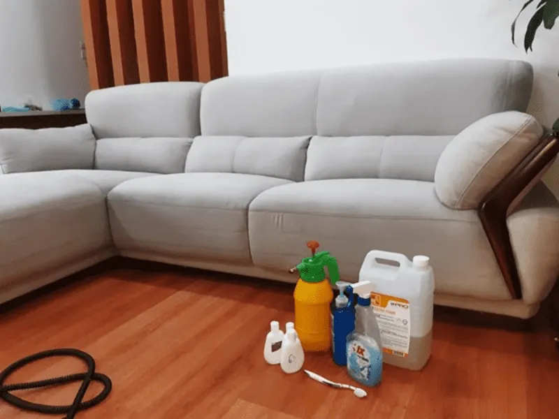 Nước giặt sofa chuyên dụng
